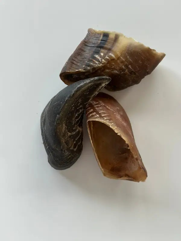 Cow Hooves - Dog Treats