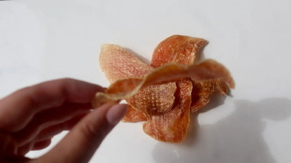 Chicken Breast - Dog Treats